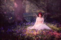 The Fairy in the Woods
