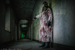 Welcome to the Asylum