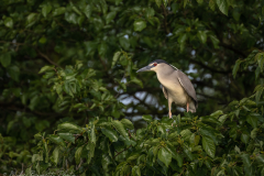 MikeBennettPhoto_20230513-192