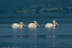 MikeBennettPhoto_20230513-196