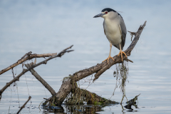 MikeBennettPhoto_20230513-198