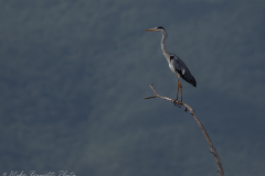 MikeBennettPhoto_20230513-200