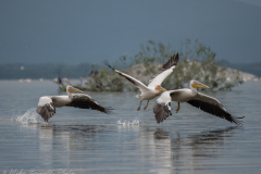 MikeBennettPhoto_20230514-210