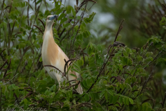 MikeBennettPhoto_20230515-216