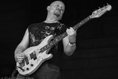 Bass Player