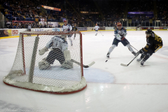 Nottingham Ice Hockey