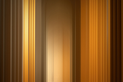 Silent Contemplation