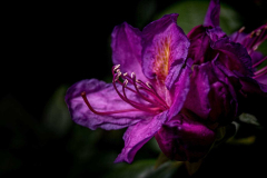 Img_068