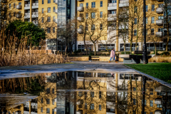Hull Reflections