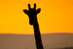 Sundown
